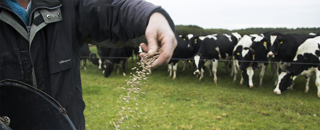DeOndernemer GD (@ondernemergd) on Twitter photo Aantal biologische bedrijven groeit in Maas en Waal ➡️ bit.ly/2l6J9OL Aantal biologische bedrijven groeit in Maas en Waal ➡️ bit.ly/2l6J9OL