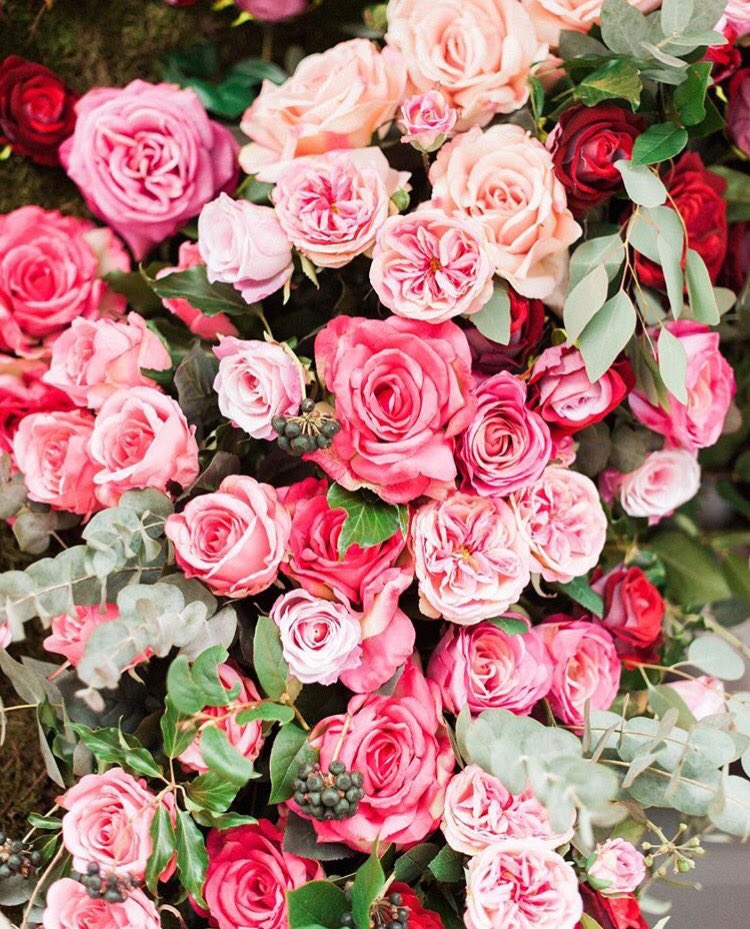 Happy valentine's week! #50shadesofpink #valentines #roses