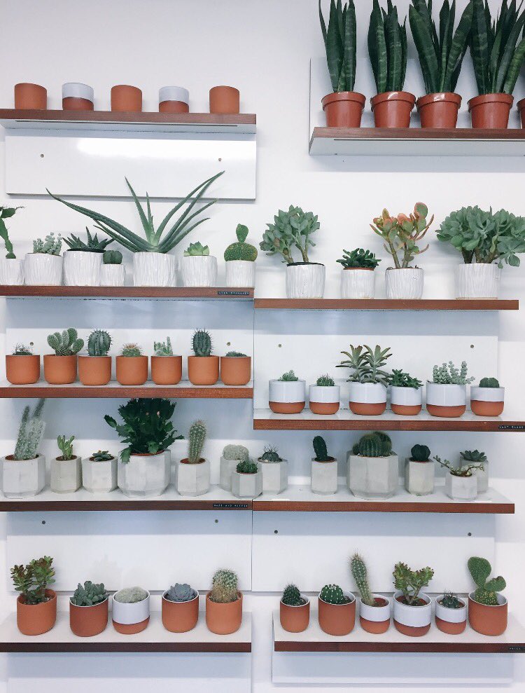 Roses are red, violets are blue, it's not just flowers it's plants too! <a href="/PRICKLDN/">PRICK</a> #ValentinesDay