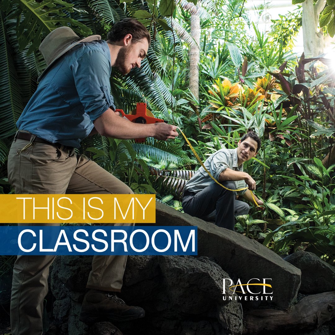 PaceUniversity's tweet photo. Where academic excellence meets real-world experience. Where dreams become reality. This is Pace. https://t.co/97gmQnXsoT https://t.co/IiMu9fWqvW