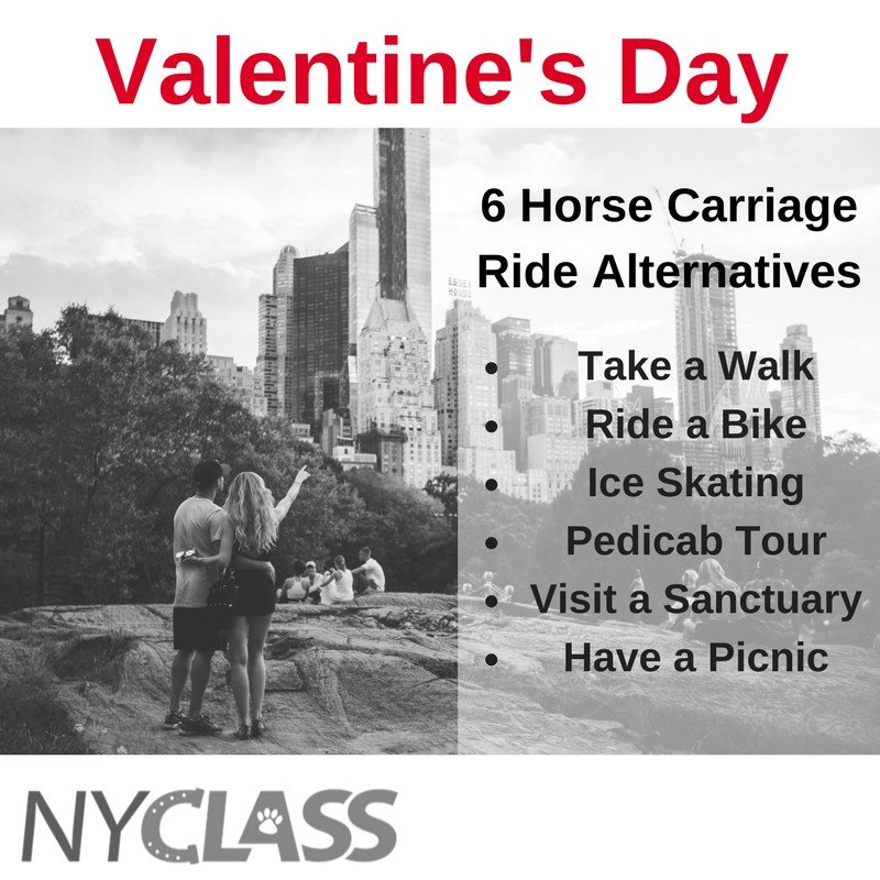 May your Valentine’s Day be filled with love and compassion. #emptythecarriages #animalrights #NYCgo #tourism #banhorsecarriages #iloveNY