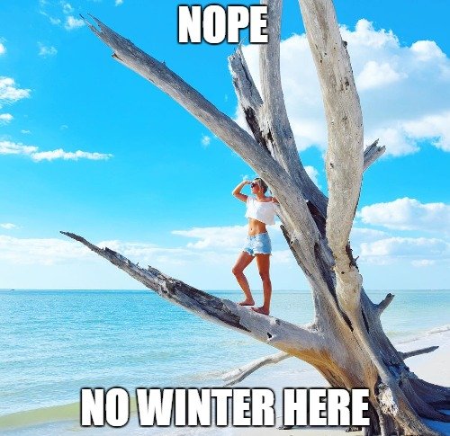 VISITFLORIDA's tweet photo. Where are you, winter? #LoveFL

(📷: IGER theworldofnicole) https://t.co/fHZ05ZVdV8
