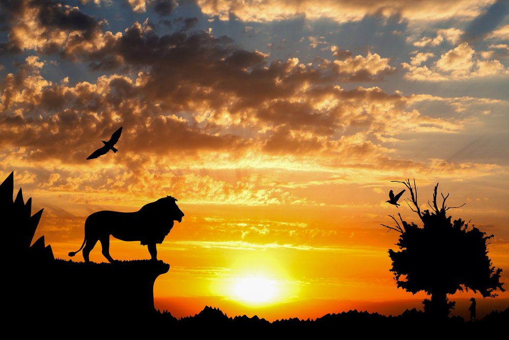 tickget's tweet photo. The Lion King continues to amaze, with astounding visuals that will make this a show you'll remember forever! https://t.co/Xq1HNiCY6V https://t.co/ccJYmiclID