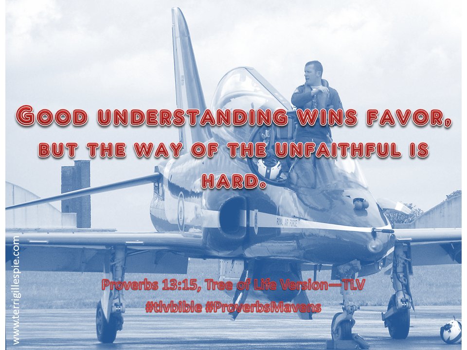 TLVBibleSociety tweet picture