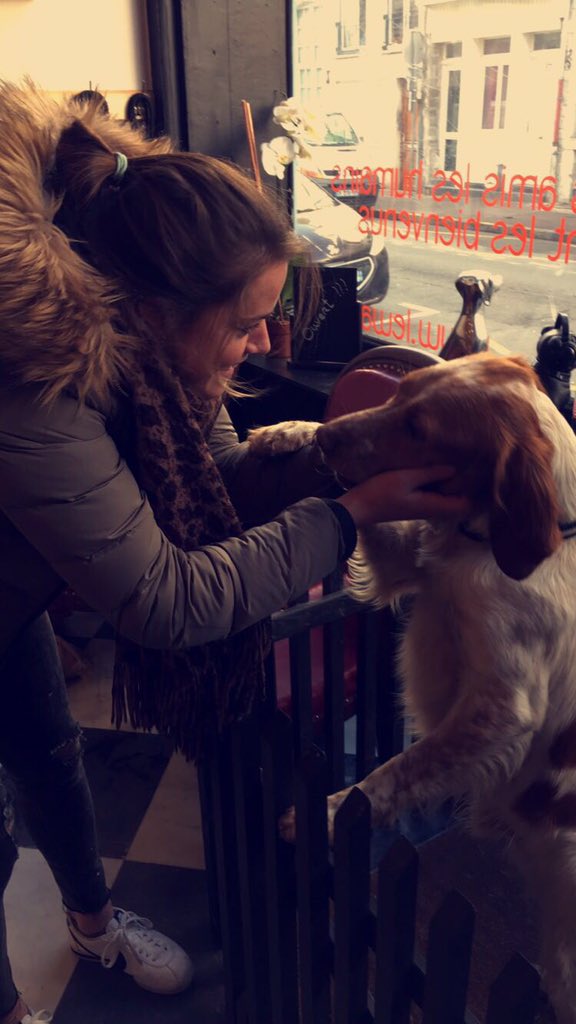 lidewijwelten's tweet photo. That moment when your buddy is in the naughty corner 💕! #lewaf #joey #naugty https://t.co/wev7FuBEkZ