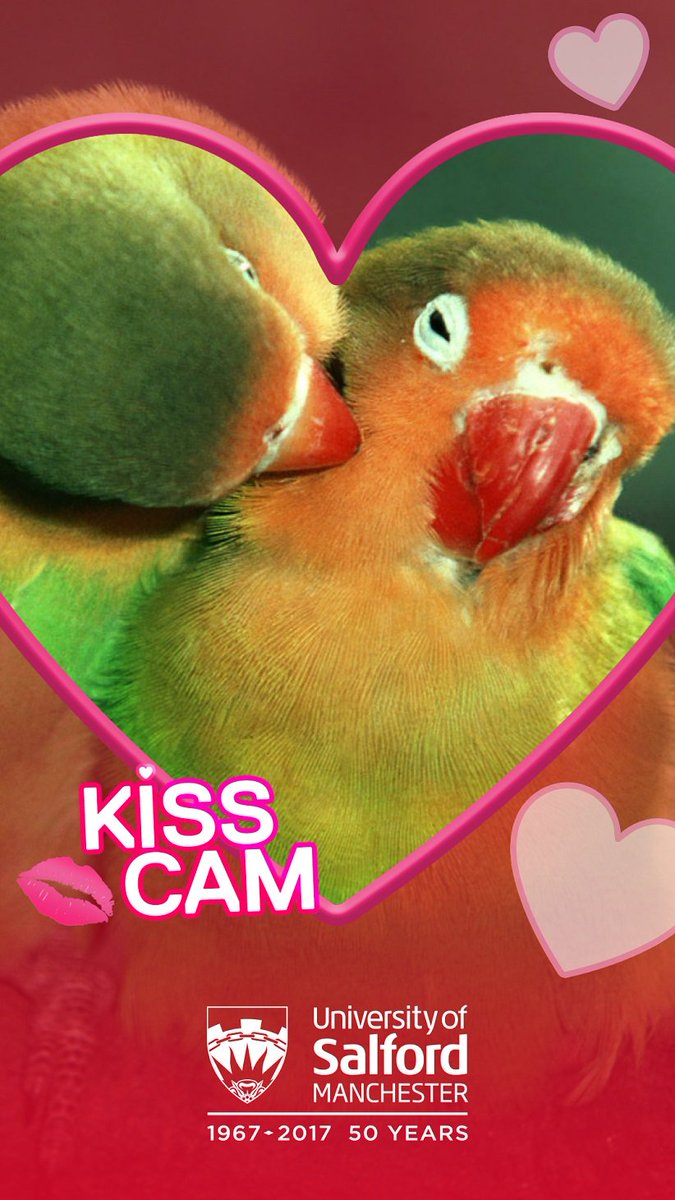 University Of Salford On Twitter We Ve Got A Special Valentinesday Snapchat Filter For You To Use On All Three Of Our Campuses Tomorrow Salfordsweethearts Https T Co A81flpccrp