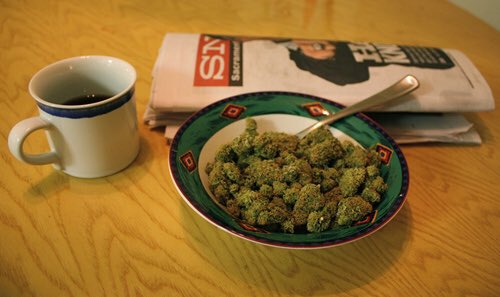 _TheTreeMan_ tweet picture
