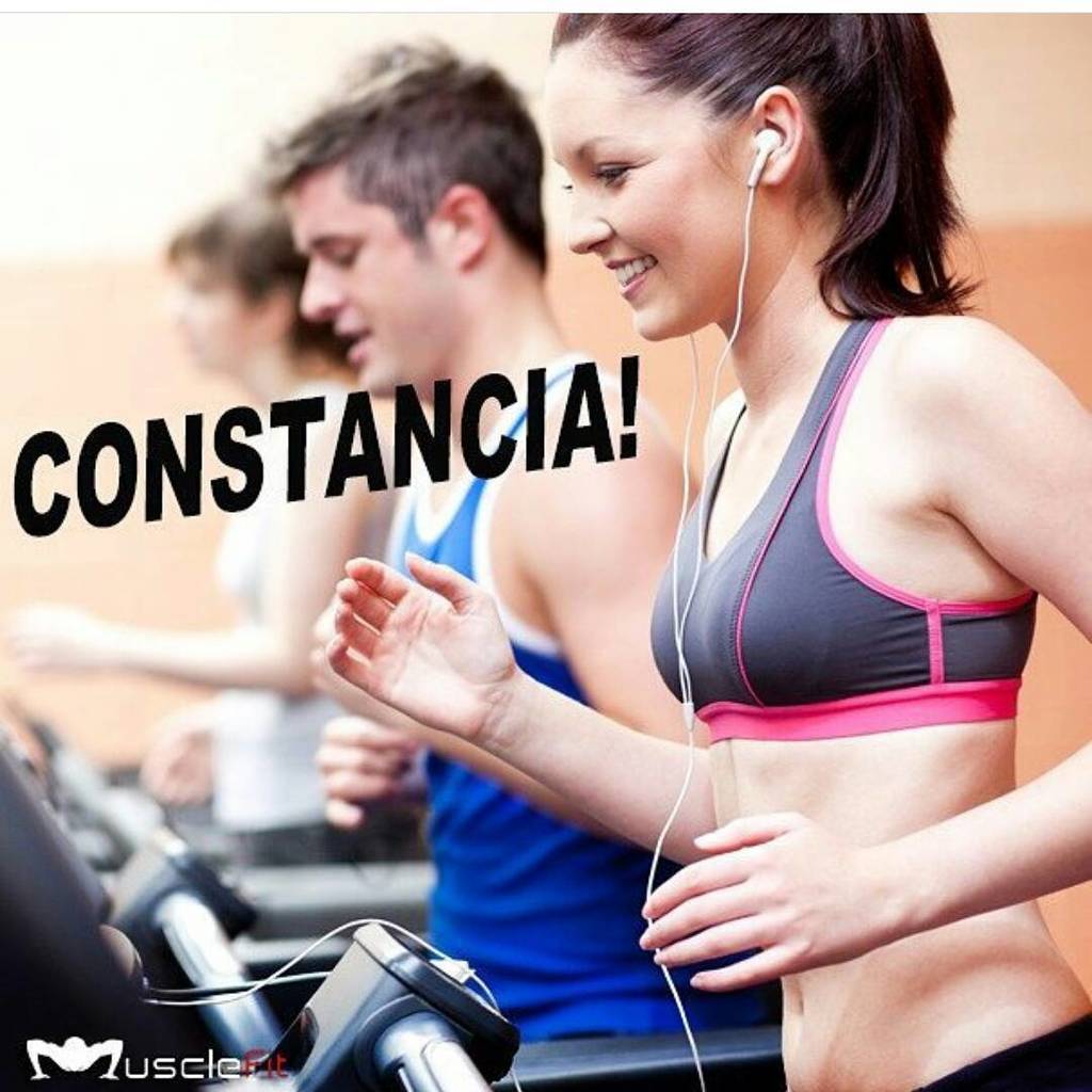 MuscleFit_ve's tweet photo. Más allá de elegir un #ejercicio u otro, lo importante a la hora de perder peso es ser constantes y, sobre todo, co… https://t.co/22hhBjQxH7