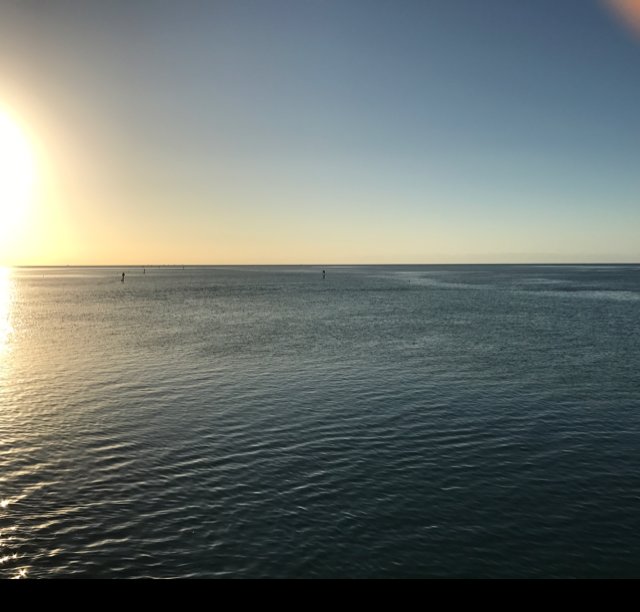 RickLofgren's tweet photo. 4.7 @CharityMiles for @LLSusa. Thx 2 #JNJ &amp; @DonateAPhoto. #WindleyKey #GiveHope https://t.co/4goCllis94 https://t.co/0BckH9bxAk
