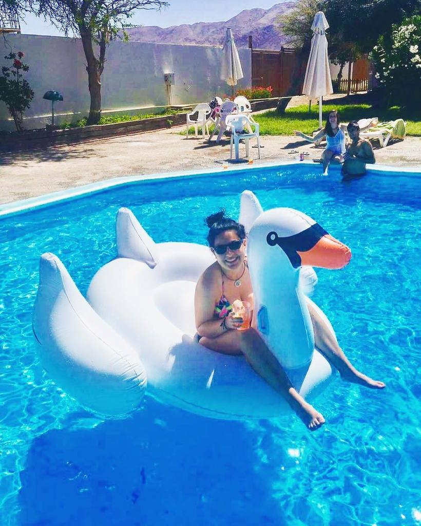 PaulitaBustosT's tweet image. verano 🌞🏖 🍹💁🏻🙌🏻 #summer #aperolspritz #swanfloat #pool #Chile #Mejillones ift.tt/2l6XJ8S