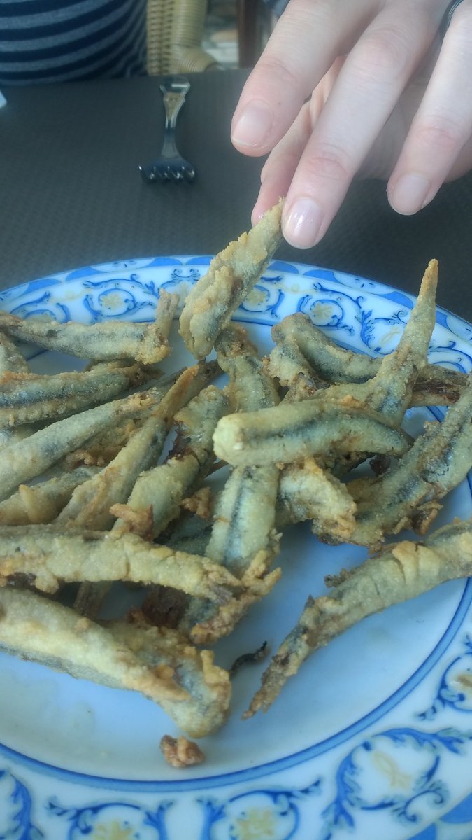 Boquerones de verdad <a href="/marcamotor/">Marca Motor</a>  <a href="/costatropicalgr/">CostaTropicalGranada</a> La Ranita. Casa Guillermo.