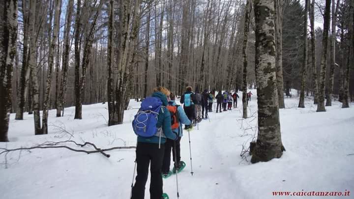 Escursione a Timpone Morello dove nasce il fiume Tacina #montagna #natura