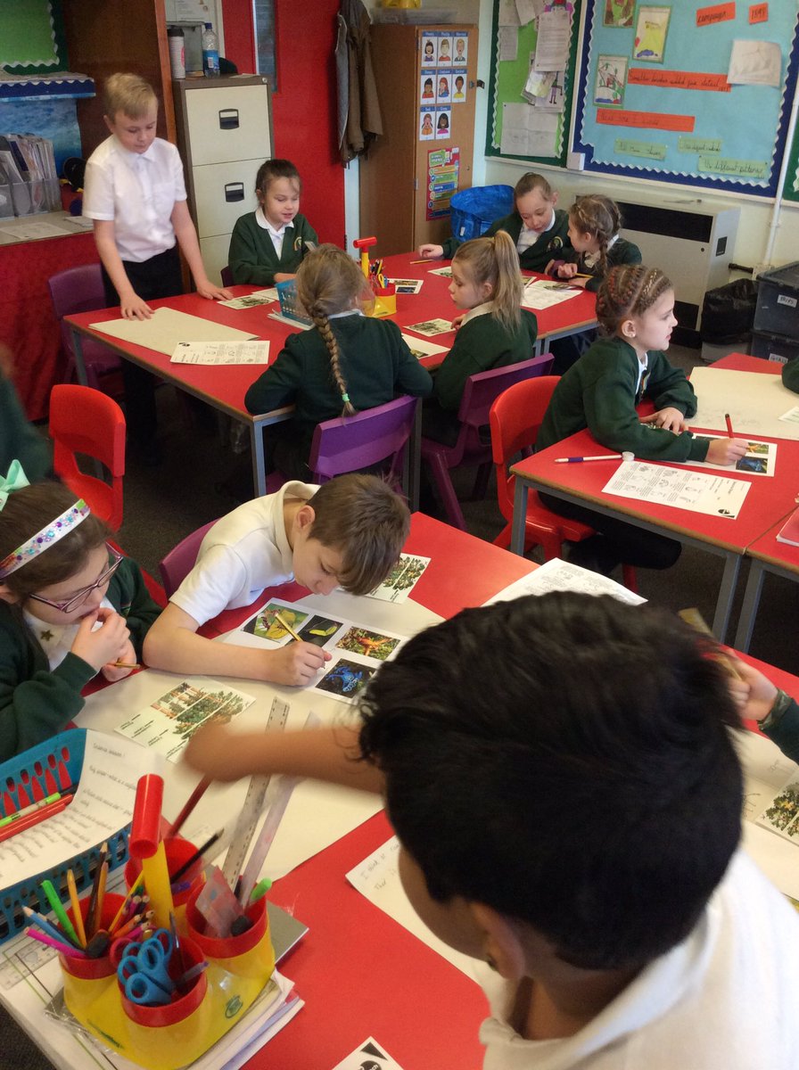 TheParksY4class's tweet photo. Which layer of the rainforest? #scienceweek @TheParksAcademy https://t.co/PkKmlWnCjW
