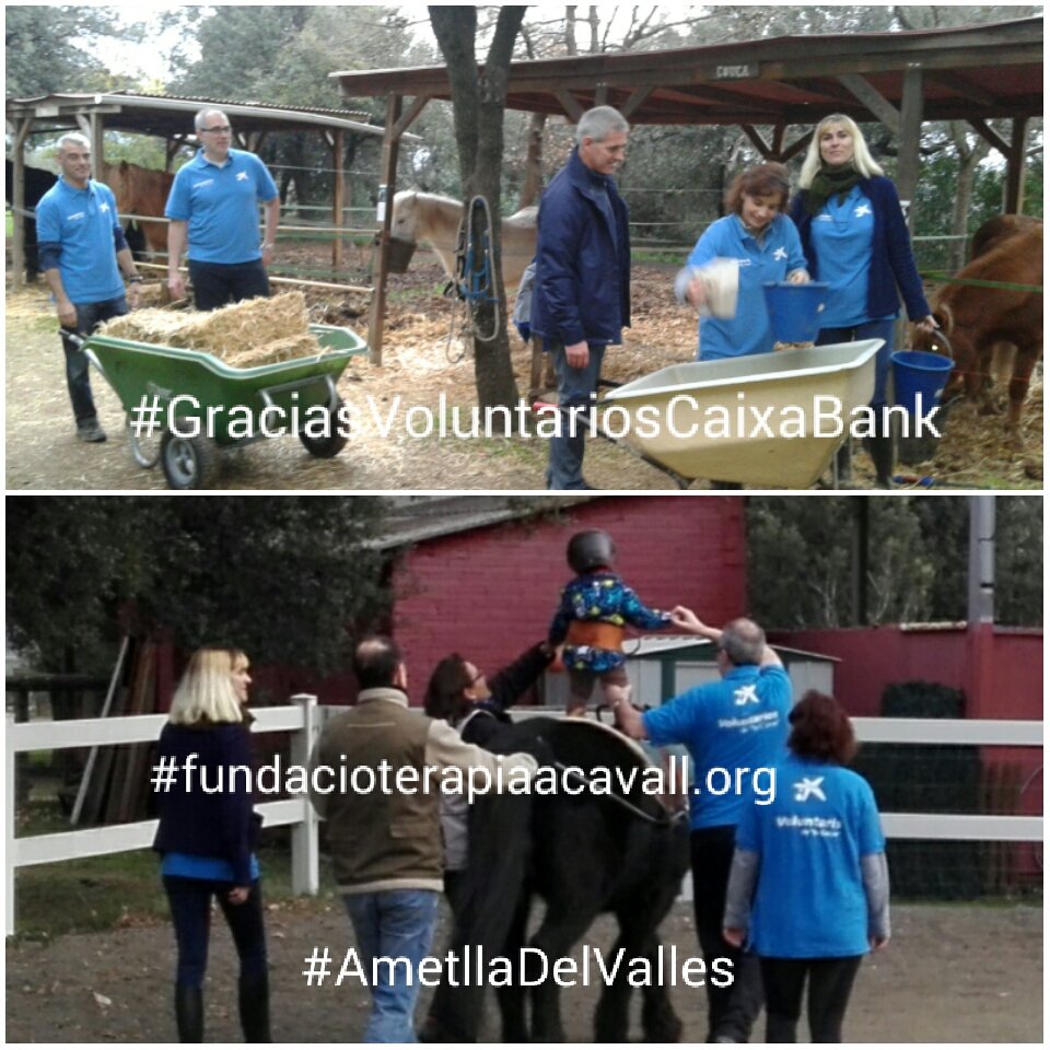 TerapiaaCavall's tweet photo. Gracias!Empleados @FundlaCaixa @infoCaixa han participado como #voluntarios en @TerapiaaCavall durante su Semana Social. #servoluntariosuma https://t.co/hPZqXsccyQ