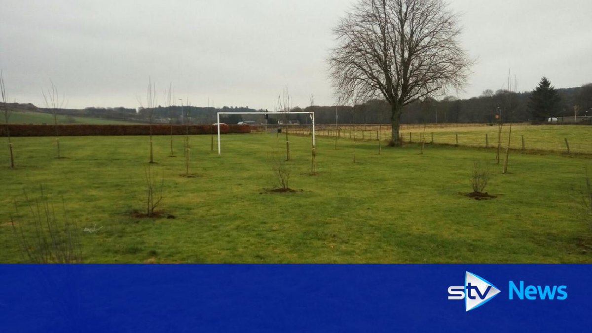 [Image: C4jKTSfVYAAymTO.jpg]