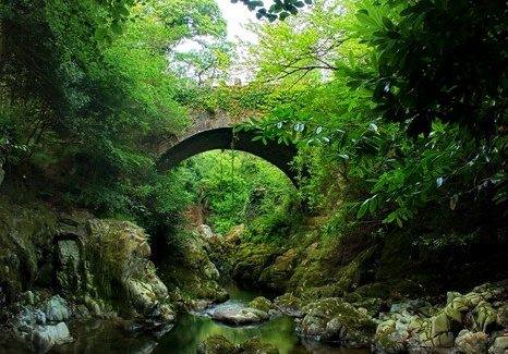 Azothkin's tweet image. To all I have shared soul memories with I honor u , it is these soul memories that drive me. I love and honor each and every one of you.  A