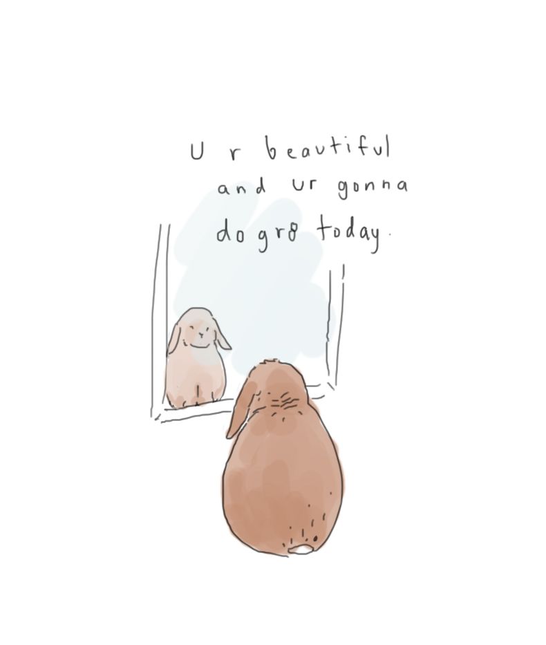 WholesomeMemes (@wholesomememe) on Twitter photo 