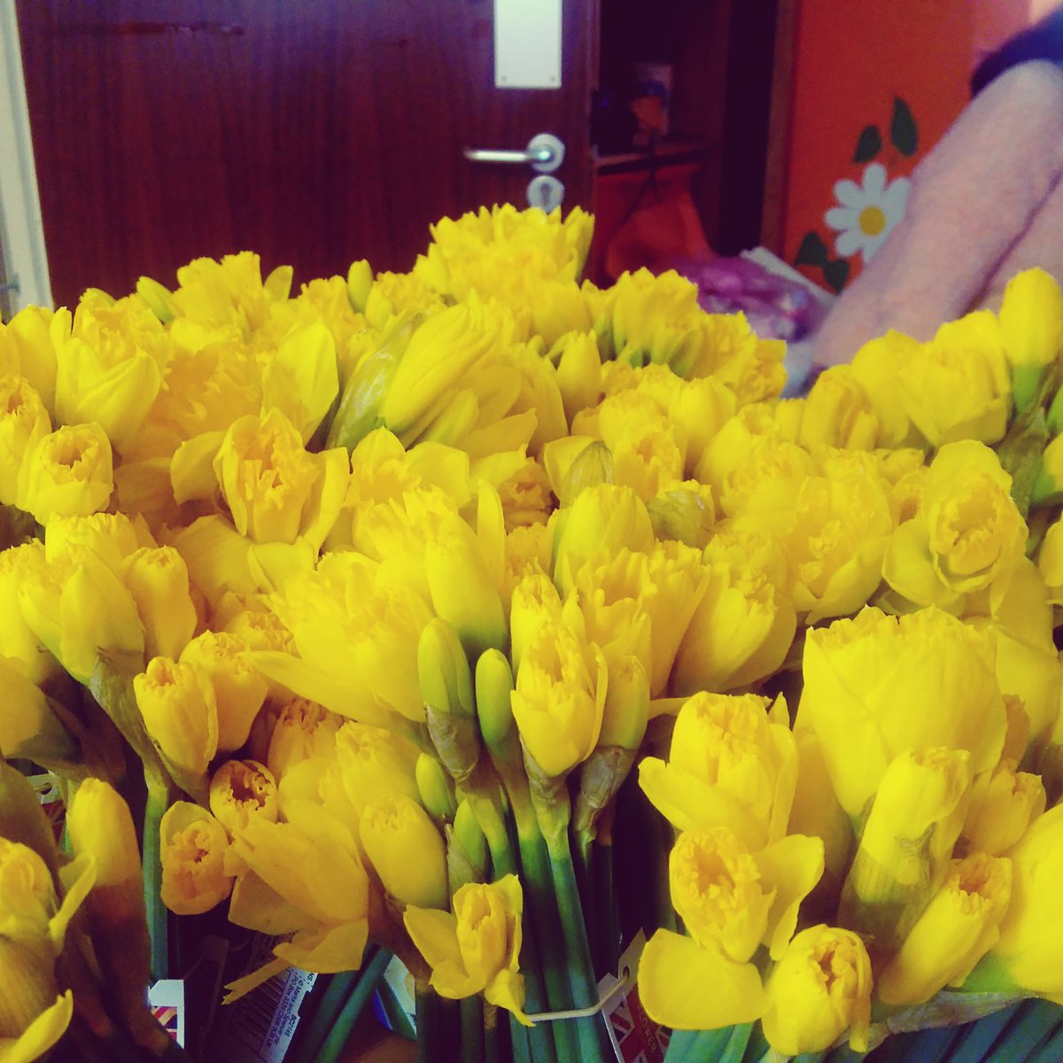 Wow wee! Beautiful flowers from M&amp;S 4 the community. Lovely treat! Thanks <a href="/nbrly/">neighbourly.com</a> <a href="/marksandspencer/">M&S</a>