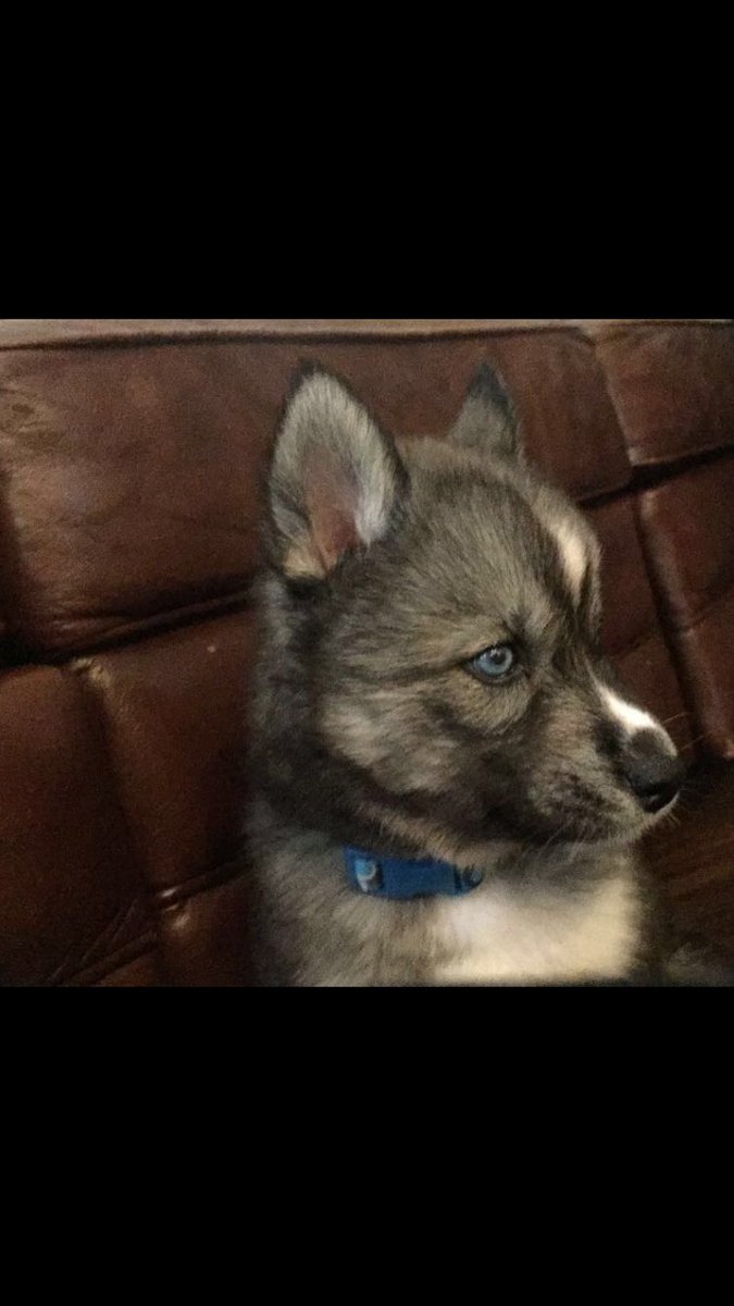 NoahCalhoun44's tweet photo. She's growing up ☹️ https://t.co/d8T8E8go77