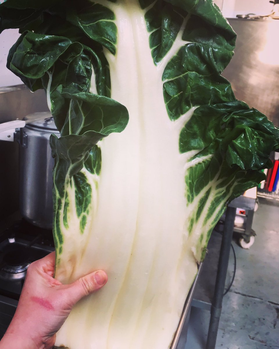 WOUPSOUP's tweet photo. Check out the size of this chard! Head down to our new stockists @cambcheeseco tomorrow for your #woupsoup fix #wonkyveg #lunchnotlandfill https://t.co/VR5Abjq1Q5