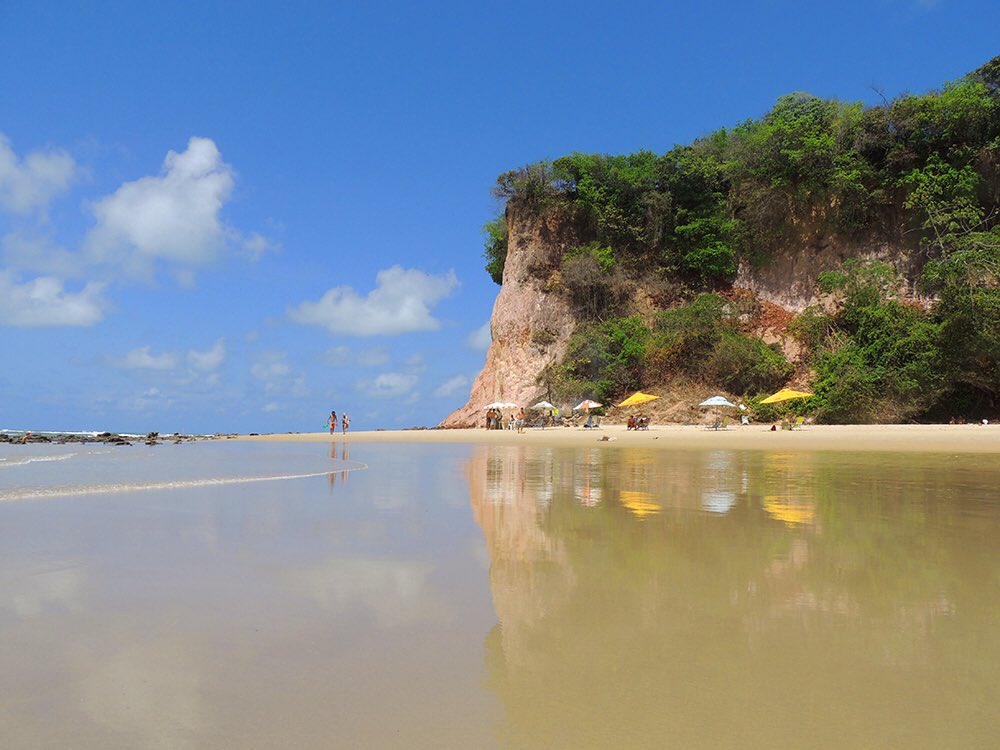 PipaBrasilCL's tweet photo. Praia do Madeiro, reflejos de libertad en una playa donde, además de disfrutar sus olas, se cuida y conserva a las especies marinas #pipa https://t.co/bks3tBOolr