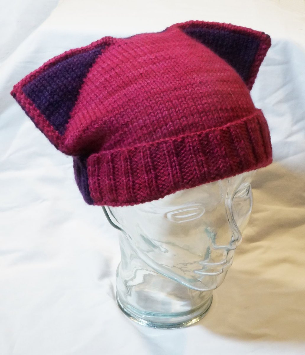 fallingblox's tweet photo. New FREE hat pattern in #doubleknitting. Enjoy! Thanks @PussyhatProject for the inspiration. #resist https://t.co/DAFY8Bmskb https://t.co/Ud17xGY4vp