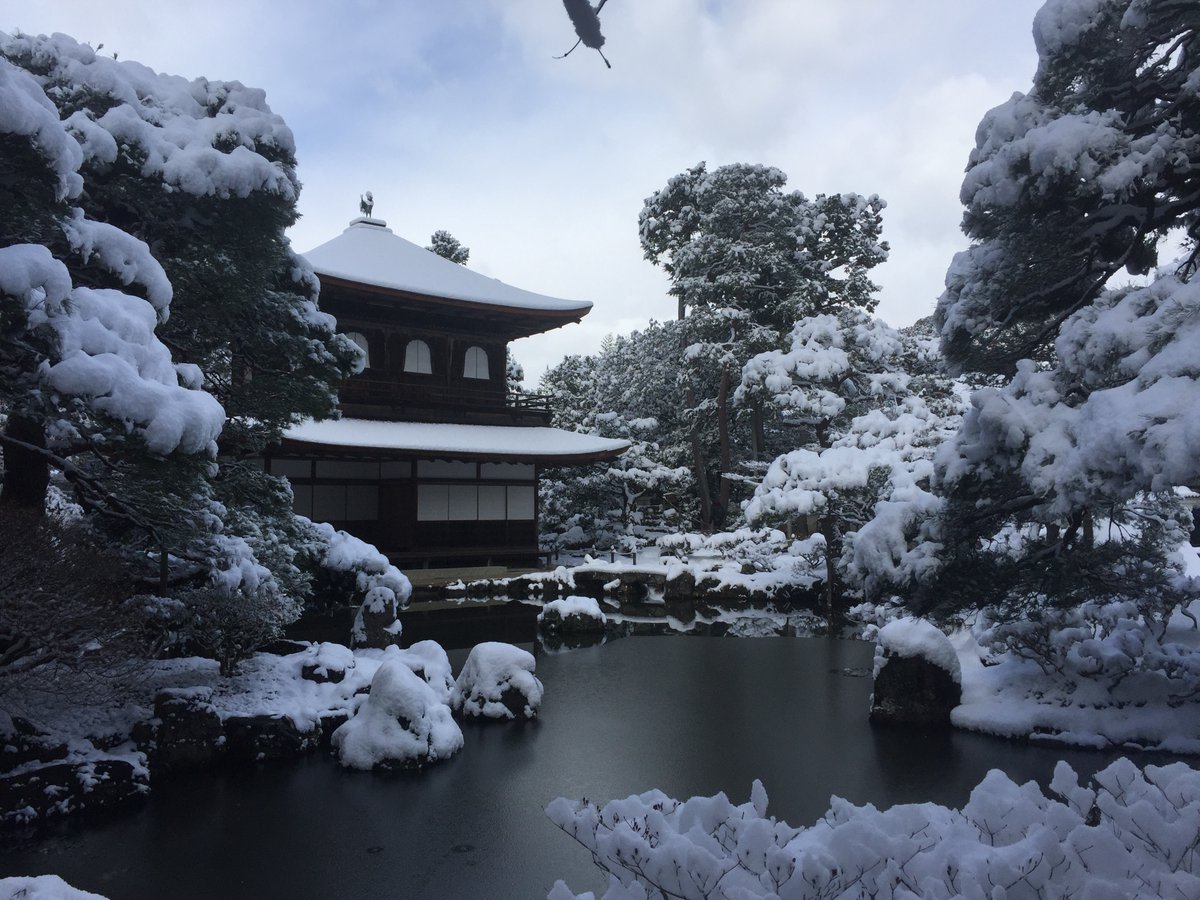 The Dancing Rest Kyoto Winter Wonderland The Dancing Rest T Co Yyfck3gwgm Winter Snow Winterwonderland Photography Japan Kyoto Photooftheday T Co Owyikgvtcl The Dancing Rest Kyoto Winter Wonderland The Dancing Rest T Co Yyfck3gwgm Winter Snow Winterwonderland Photography Japan Kyoto Photooftheday T Co Owyikgvtcl