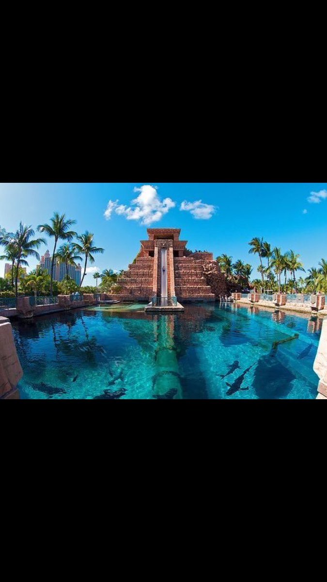 Indy_Pacers2k's tweet photo. Trip to the Bahamas anyone? 🌴 https://t.co/34aUCOItP9