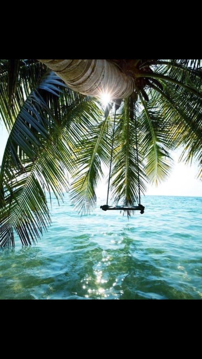 Indy_Pacers2k's tweet photo. Trip to the Bahamas anyone? 🌴 https://t.co/34aUCOItP9