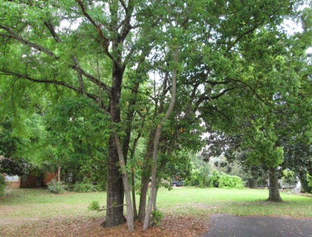 FRG2009's tweet photo. Bluff Lot Just Steps To The Bay! $424,000 https://t.co/FwIkAijKGS https://t.co/fwoKtbXTcE