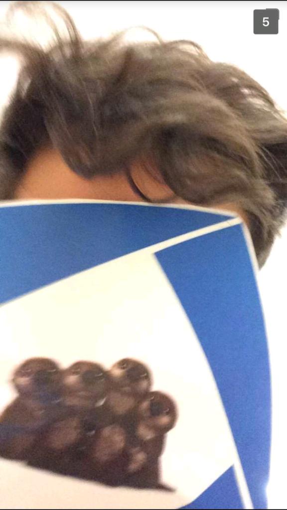 FindingDECA's tweet image. @TommyWidera has found the last one, the baby otters! congrats to our winners today, stay updated for tomorrow's characters!🐳