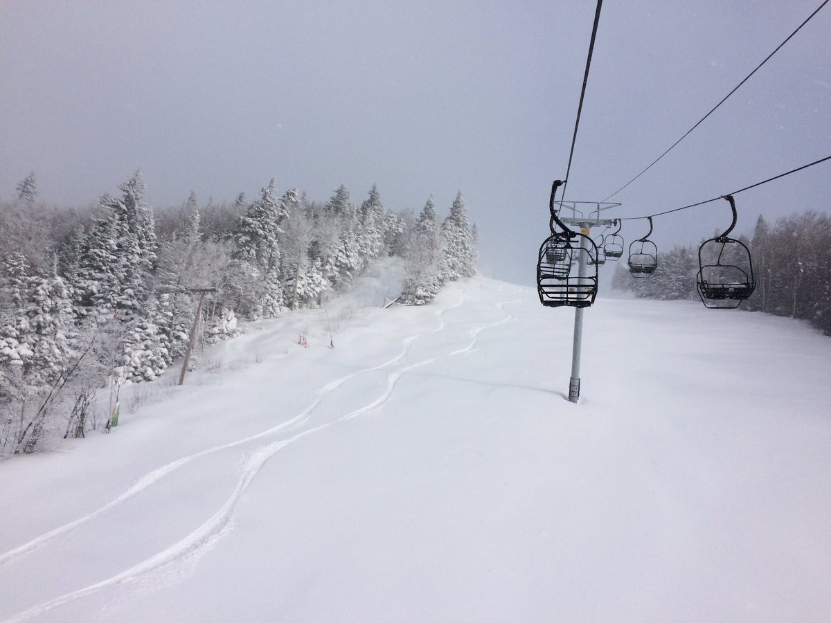 mountsnow's tweet photo. Beartrap this morning with 16" of fresh powder! https://t.co/xLqYdSoFbk