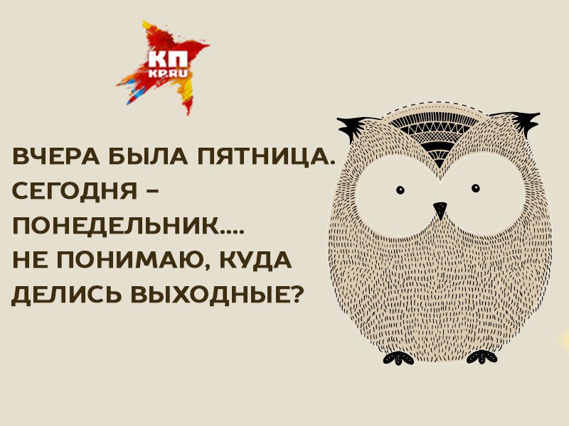 Вчера была пятница. Приколы про понедельник в картинках. Сова понедельник. Сова в пятницу. Смешные статусы про понедельник.