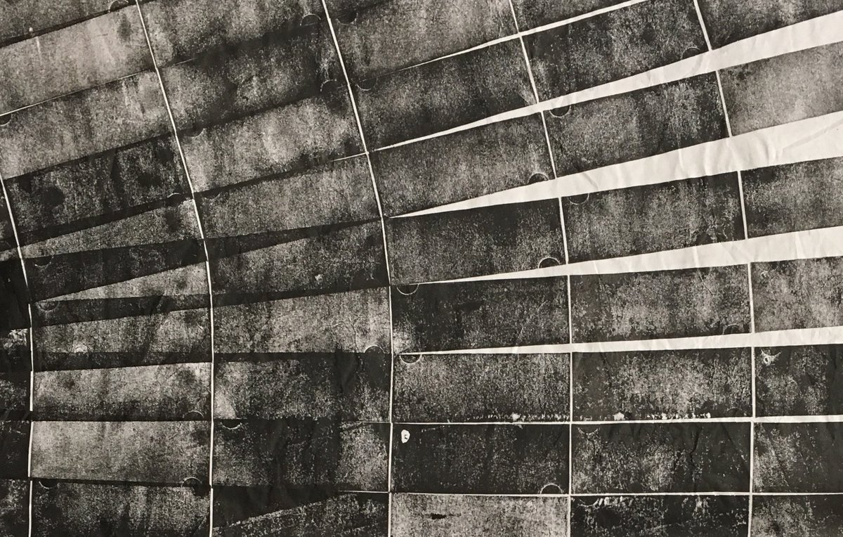 gridcitymag's tweet image. Cellarghost share first single from new EP coming later this month. ow.ly/vCKe308WYhE @CHSR979 @celeryghost @MusicMusiqueNB