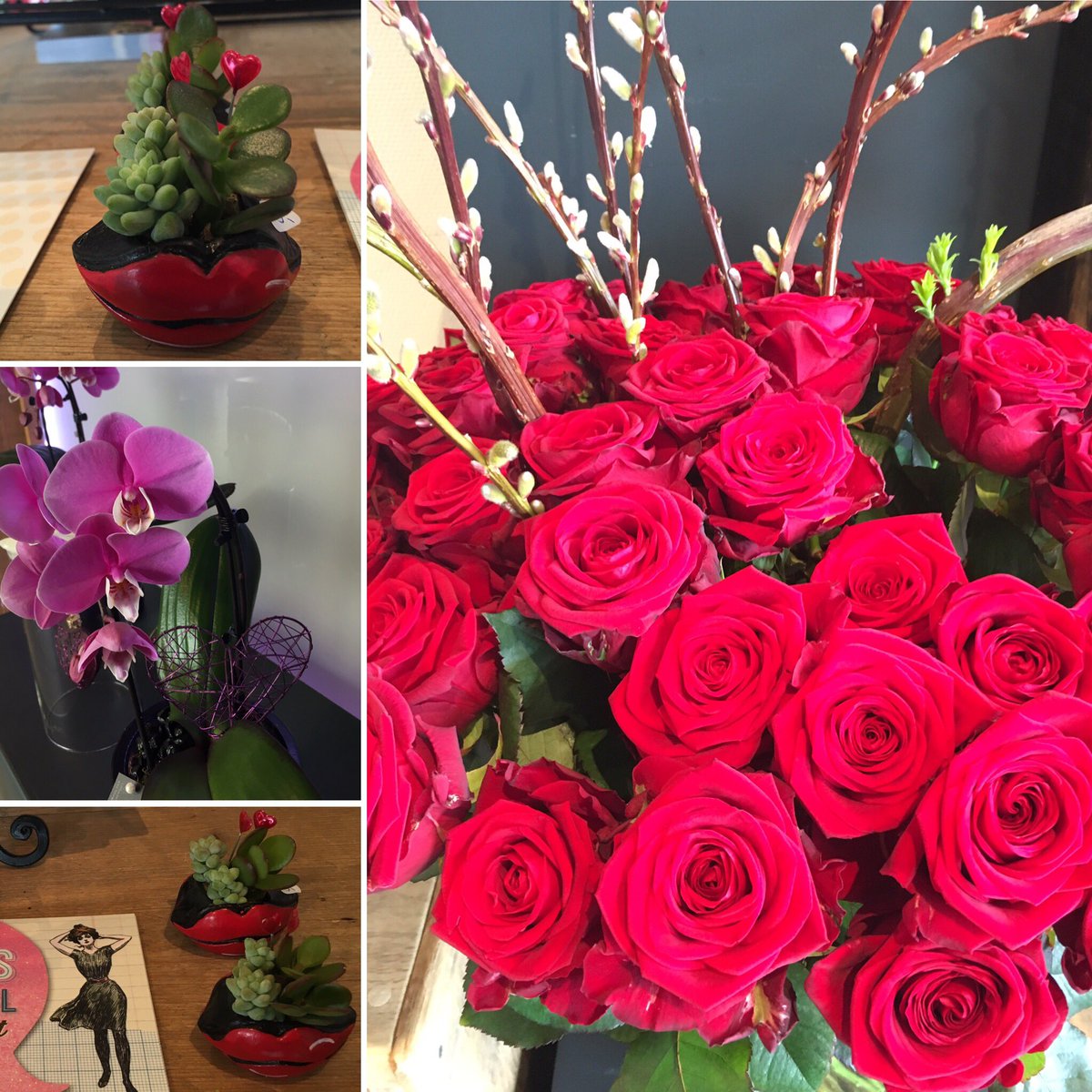 Flower Sensation (SensationFlower) Twitter