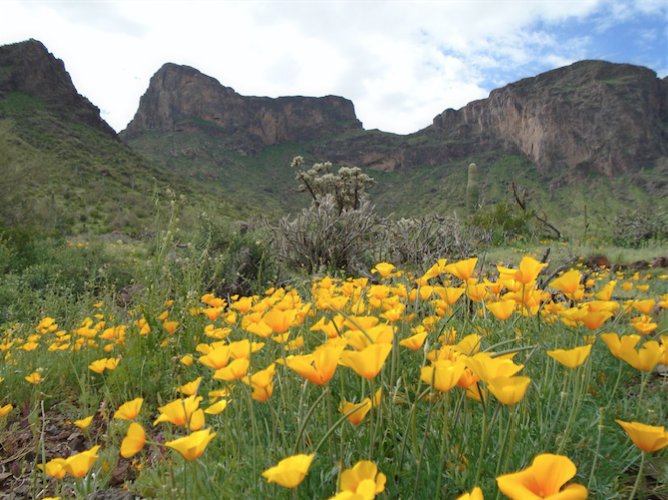 AZStateParks tweet picture