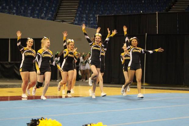BFuzzULuvMEBeth's tweet photo. Taking the mat by storm! #cascadecougarcheer #cheerleading #cascade #state2017 https://t.co/iEVQElXFNf