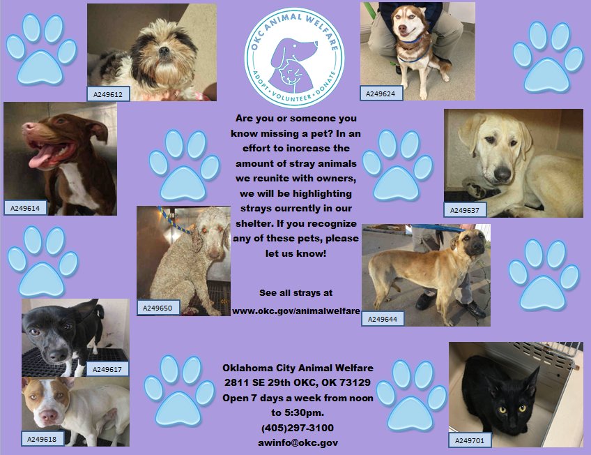 okcpets's tweet image. In an effort to help increase the chance of pets being reunited with their families, we ask that you share the attached flyer.