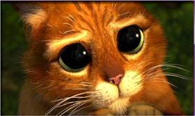 lunarmedelest's tweet photo. Moi quand je regarde le clip de #BenePart3 @PNLMusic @kamerameha @messprd @machadjangoqlf  @abdelcameleon https://t.co/YLacrieAxT
