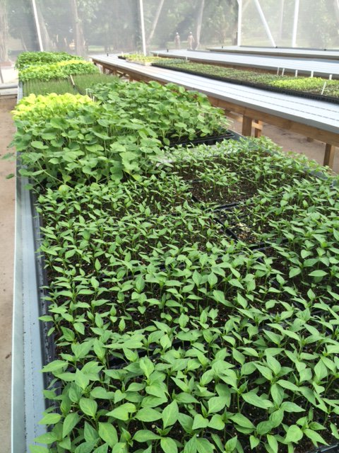 Fregate Island tweet media