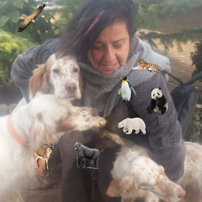 #DURDE iklim değişikliğine dur de. Bunun icin herkes üzerine düşeni yapmak zorunda. ..