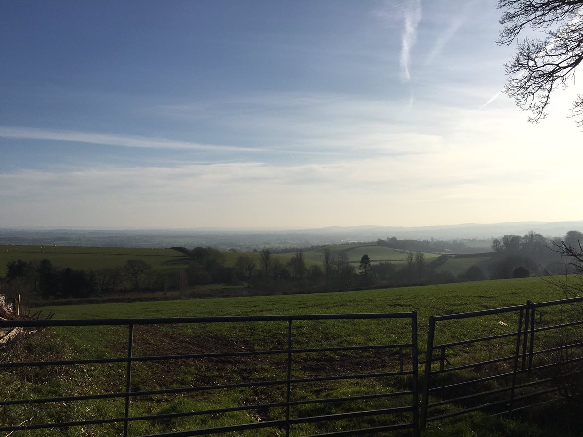 KittyAtWilland's tweet photo. Spring is starting to feel like it is coming! Lovely sunny walk with our regular customer's Labrador in Mid Devon this afternoon https://t.co/lrPuSWzbQZ