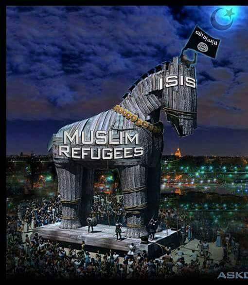 jamestrumpster1's tweet image. @mr_davejames#MUSLIMRAPISTS #FakeNewsMedia #JOETRIPPIESUCKC #FIREJAKE Y? DONT NEED MORE MUSLIMS @TheTrumpLady THEY ARE FILITHY! #FUCKISLAM