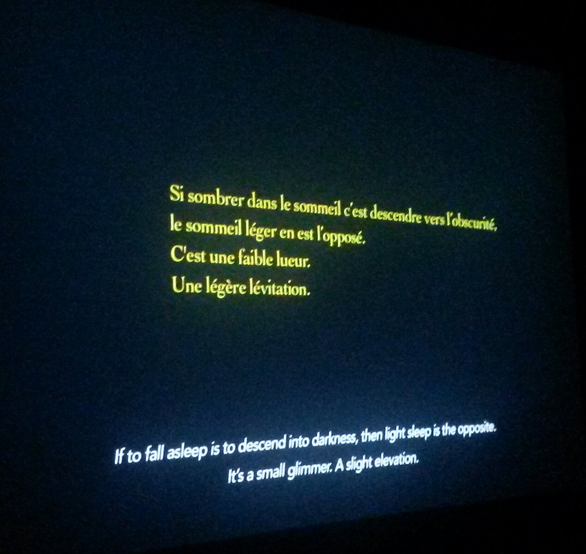 clair_goncalves's tweet photo. #Somniculus rêve éveillé du vidéaste #AliCherri @jeudepaume, avec des morceaux de @Le_Museum &amp; @Musee_Homme dedans ☺ https://t.co/oaSWBCPOrE