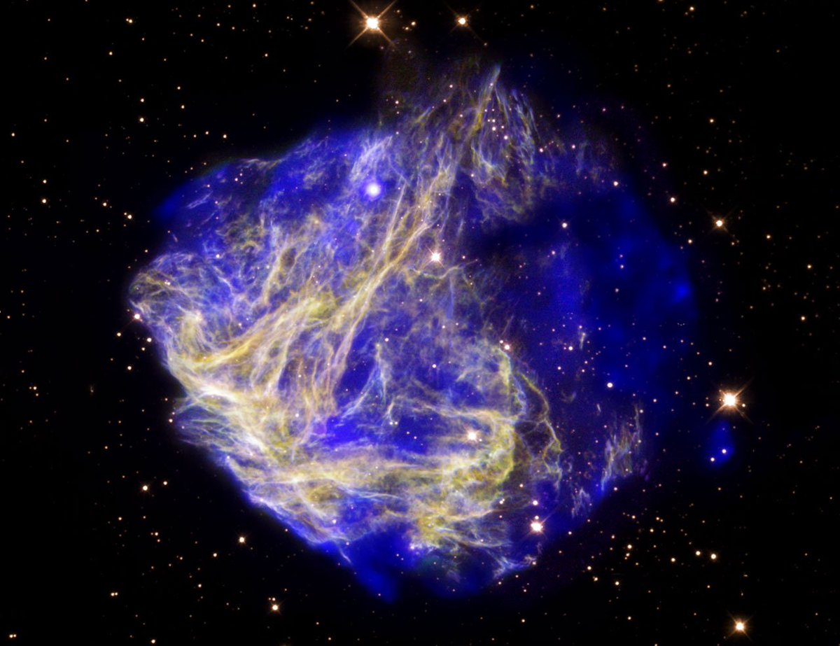 SkyImageLab's tweet image. Star Cloud hit with Bullet! From the #Chandra Space Observatory
skyimagelab.com/star-cloud-n49…