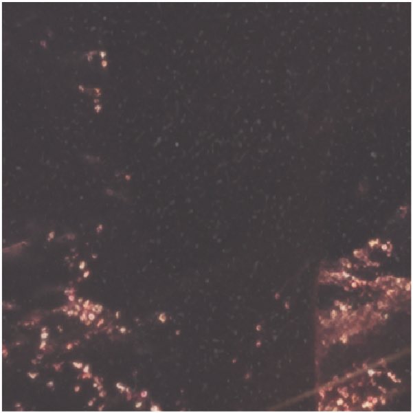 linkinparkhk's tweet image. 37 @LinkinPark #LinkinPark #LP2017