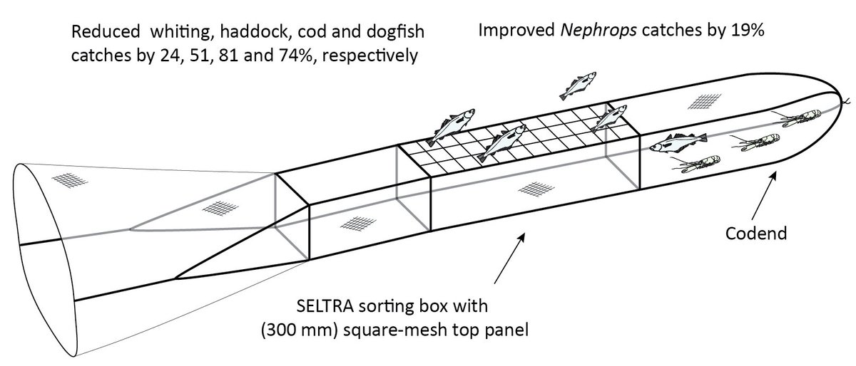 The SELTRA sorting box: A highly selective gear for fish in the Irish Nephrops fishery <a href="/BordIascMhara/">Bord Iascaigh Mhara (BIM)</a> @MfrcGmit bim.ie/media/bim/cont…