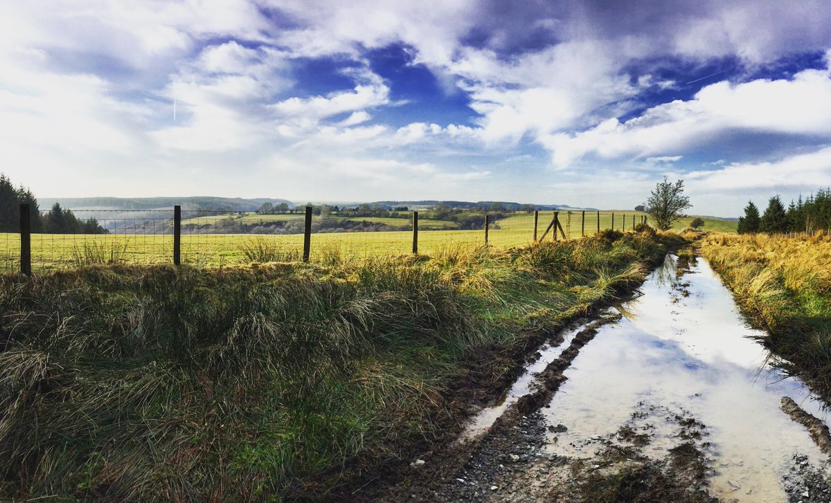 _mbspain's tweet photo. Yay!! I got to go out in daylight! #challenge365 #brechfa #wales #mtb #findyourepic #bionicon https://t.co/MmKGjJMsTT