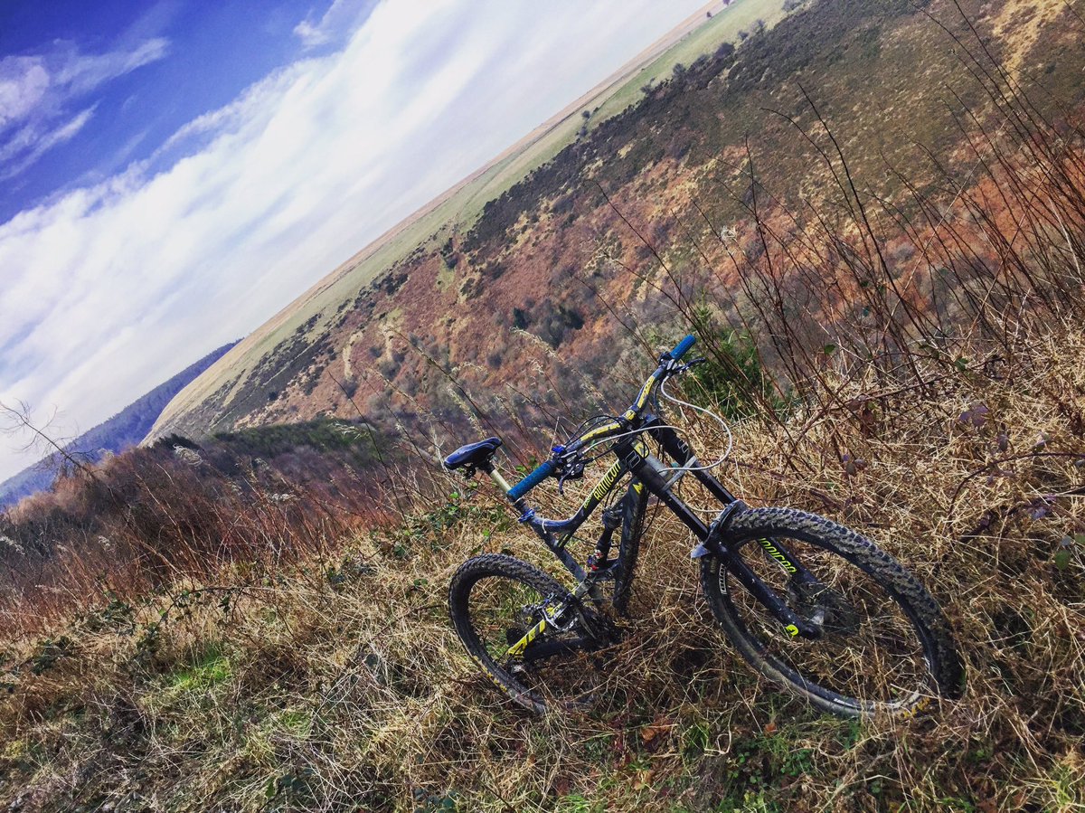 _mbspain's tweet photo. Yay!! I got to go out in daylight! #challenge365 #brechfa #wales #mtb #findyourepic #bionicon https://t.co/MmKGjJMsTT