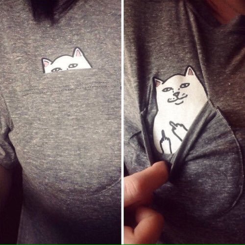Instazim's tweet photo. só queria essa brusinha https://t.co/u54jotoLR9